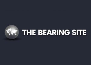bearingsite logo design